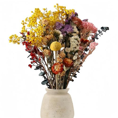 Frogetu 30 PCS Deko Trockenblumen,Trockenblumenstrauß Groß,Strohblumen,Trockenblume,Dried Flowers,Deko Blumen Künstlich,Trockenblumen Deko,Trockenblumen Herbst,Getrocknete Blumen,Trockenblumen Boho