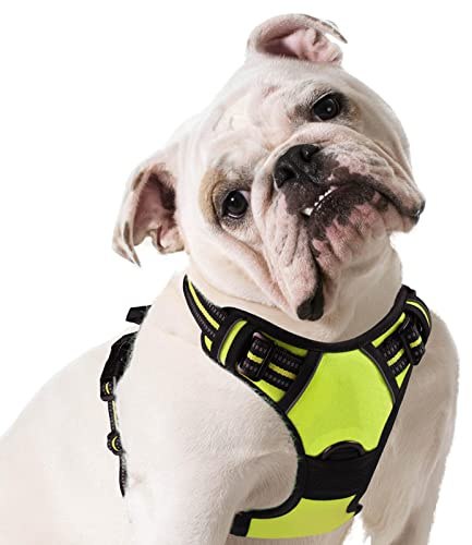 Eagloo Harnais Chien, Harnais Anti Traction pour Chien Réfléchissant Réglable, Facile à Mettre, avec Poignée Contrôle, Arnet pour Chiens Solide Respirant, Harnet pour Chiens Moyen et Grand, Vert, M