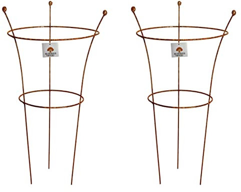 Pack of 2 x Small 45cm h x 30cm dia Metal Garden Peony Plants Support Rings - Natural Rust - Decorative Herbaceous 2 Ring Support Cages Rusted Design