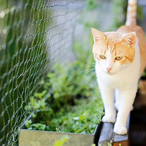 ALLEGRA Katzenschutznetz für Balkon in grün (drahtverstärkt) 4x3m (B-Ware)