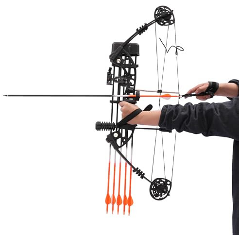Set di archi composti per tiro con l'arco, 30 – 60 lbs, set di archi sportivi per tiro con l'arco, set regolabile da caccia 320 FPS, per adulti principianti e principianti, arco professionale