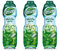 3 Sirup grüne Minze Teisseire - 3 x 0,60L
