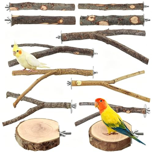 QingWing 12 Pièces Perchoir Perroquet en Bois Naturel avec Vis et Rondelles | Perchoir Oiseaux Jouet Perchoirs en Bois pour Perroquet Perruches Aras Pinsons Calopsittes Cages à Oiseaux