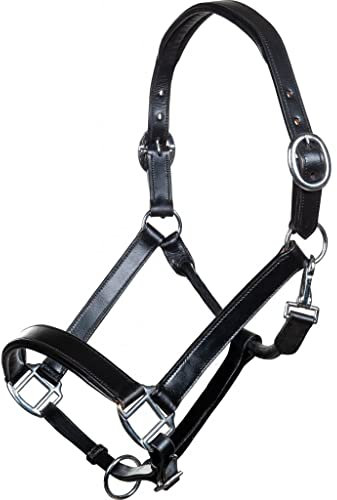 HKM Economic Lederhalfter 9100 Schwarz Pony