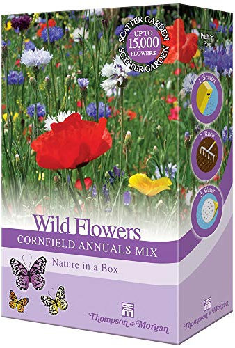 Wildflower Annual Cornfield Plant Garden Seed Grow Your Own Cornflowers & Grasses 1 x 15g Mixed Pack by Thompson & Morgan