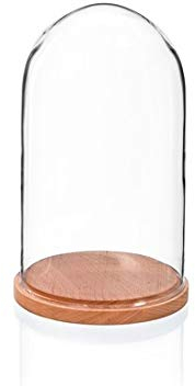 EMH Cloche en Verre avec Base en hêtre Naturel Taille S 27,5 cm