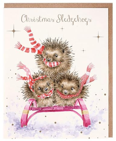 Wrendale Designs Weihnachtskarten, Schlittenschweinchen, Igel, Weiß, 101 x 152 mm, 8 Stück