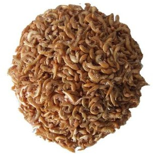Gammarus Bachflohkrebse 10000ml
