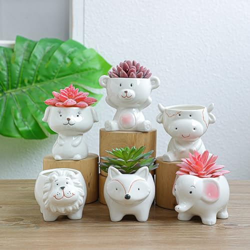 QIFLY Small Animal Ailurus fulgens Pot Ceramic Succulent Plant Pot Cactus Potted Planting Bonsai Pots Set Ceramic Flower Pot decoration gardening balcony desk bookshelf dinning table living room