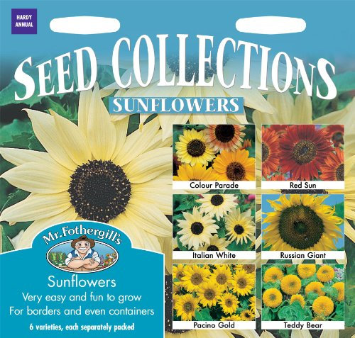 Mr Fothergills - Pictorial Packet - Flower - Sunflower Collection - 6 types Seeds