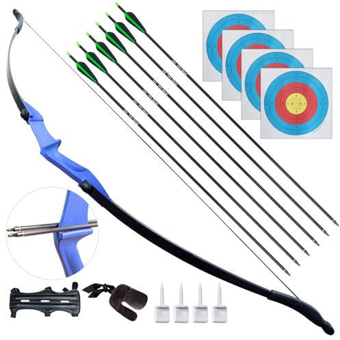 D&Q Archery Bow and Arrow Set for Adults Beginner Teenagers Youth, Takedown Recurve Bow 30Lbs 40Lbs Left and Right Handed Bow, Recurve Bow Set Adults for Outdoor Target Training Practice (Blue,30lb)