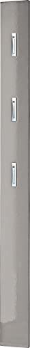 Germania Garderobenpaneel 3255-186, mit DREI ausklappbaren Kleiderhaken aus Metall, in Grau Hochglanz, 15 x 170 x 3 cm (BxHxT)
