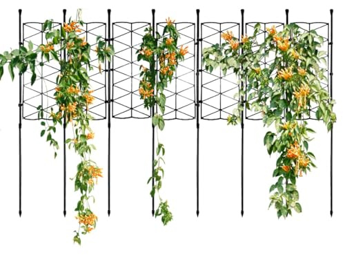 Trellis Interior para Plantas de Interior,Espaldera Jardinería Exterior con Plantas - Marco trepador de Flores,para Monstera, Clemátides, Lirios, Pepinos, Tomates, Guisantes de Olor, Rosas
