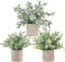 Der Rose 3 Stück Künstliche Pflanzen Wie Echt Eukalyptus Pflanzen Fake Plants für Deko Wohnzimmer Schlafzimmer Zimmer Wanddeko Badezimmer Deko (Grau)