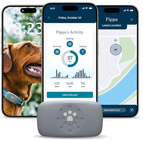 Petivity GPS intelligente e tracker per cani di attività