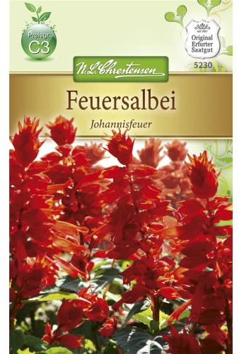 Chrestensen Feuersalbei 'Johannisfeuer'