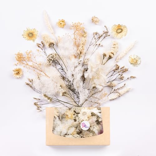 Kunstharz.Art Echte & natürliche getrocknete Blumen als Geschenk zum Muttertag & Ostern, zum Basteln mit Resin oder Osterdekoration, Blüten und Trockenblumen Set, Gastgeschenk für Hochzeit (Weiß)