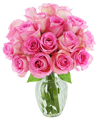 KaBloom PRIME NEXT DAY DELIVERY - Fall Collection - Bouquet of 18 Fresh Pink Roses with Vase Gift for Valentine.Gift for Birthday, Sympathy, Anniversary, Easter, Mother’s Day Fresh Flowers