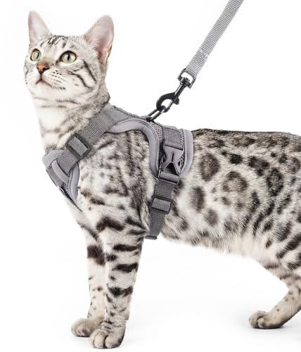 pangdi Cat Harness and Leash Set Escape Proof Tactical Extra Large Kitten Harness Emotional Support Cat Vest, Grey, XL