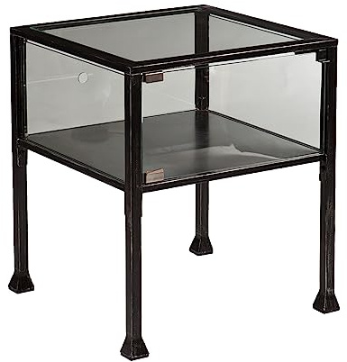 SEI Furniture Terrarium Display End Table, Black/Silver Distressing
