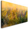 Paul Sinus Art GmbH Wilde Blumen und Gräser 120x 50cm Panorama Leinwand Bild XXL Format Wandbilder Wohnzimmer Wohnung Deko Kunstdrucke