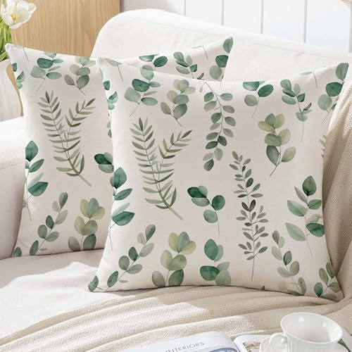ViaElayu Funda Cojin 40x40 de Primavera Diseño Eucalipto para Sofá de Exterior con Hojas Verdes Acuarela Verde Menta Fundas Cojines Decorativas Funda de Cojines Sofa de Jardín Juego de 2