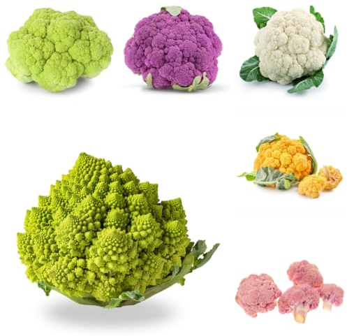semillas de coliflor - de interior semillas balcón Coliflor - Parterres elevados el jardín verdes orgánicas exóticas jardín 200semillas