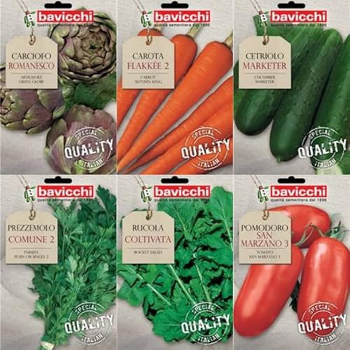 Bavicchi buste semi orto plus (Cicoria catalogna puntarelle a foglia stretta)