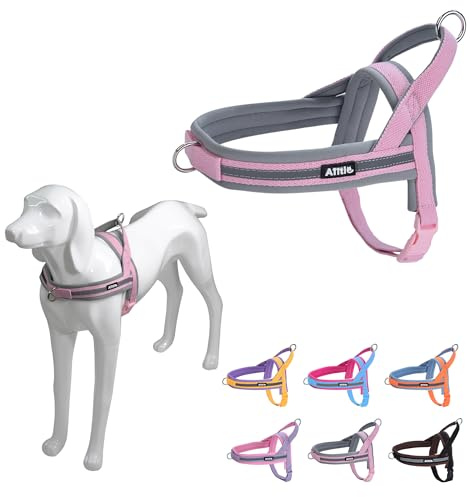 AIITLE Harnais Tactique Anti-Fuite pour Chien, Harnais Anti-Traction avec poignée rembourrée Douce, Facile pour l'entraînement, la Marche, la Course pour Grands Chiens, Rose-Gris, L