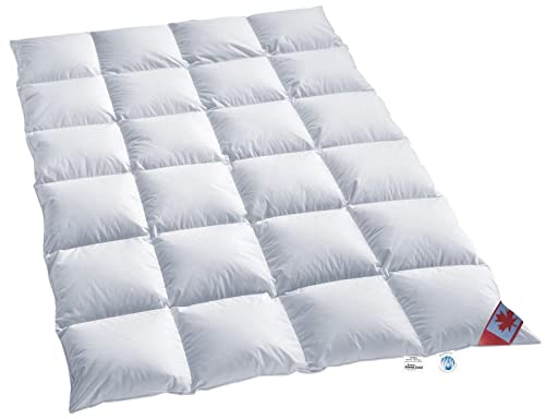 Schäfer Warme Winter-Daunendecke, 100 Daunen-Kassettendecken, natürliche Daunendecke, 155 x 220 cm