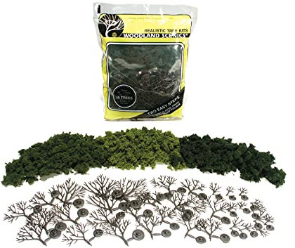 3 árboles de hoja caduca mixta de 5 pulgadas 14/Kt