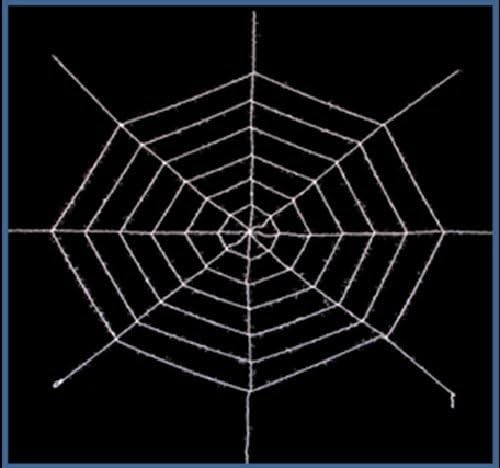 Luna24 simply great ideas... Dekoration Spinnennetz XXL Format in schwarz oder weiß wählbar 15172 Halloween (Weiss) Halloween Deko, Bastelideen Halloween.