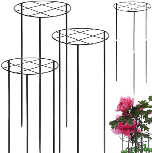 3 Pcs Large Peony Cages and Supports, 31.5H x 12.6D Grow Through Plant Support for Outdoor Plants, 7mm Stake Heavy Duty Metal Peony Support Cage Grid Garden Plant Rings Hoops for Large Peonies Rose