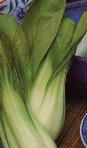 175 Seeds of Vegetable Pak Choi Choko F1