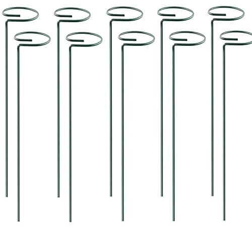 KHBNHJ Lot de 10 tuteurs de support de 40 cm pour plantes de jardin, tige unique, anneau de support en métal pour orchidée, glaïeul, iris dahlia, amaryllis, rose et lys