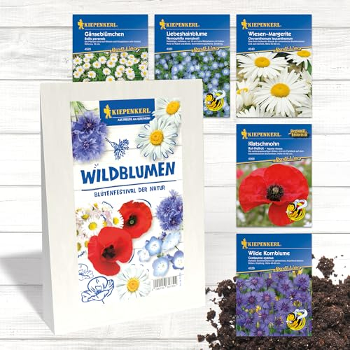 Kiepenkerl Profi-Line Blumensamen-Set Wildblumen 'Blütenfestival der Natur' - Vielfalt an Wilde Blumen (Samen), Gänseblümchen, Liebeshainblume & Wiesen-Margerite für Gartenfreunde
