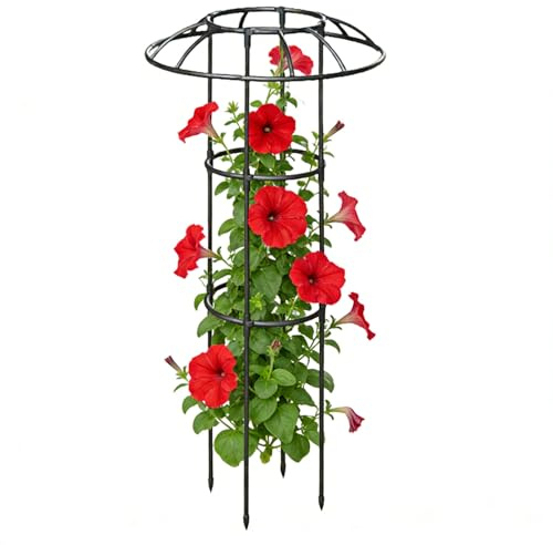 Enrejado en forma de sombrilla de jardín,Soporte decorativo estable para plantas trepadoras,Soporte de torre para exterior | Para Clematis Dragón Frutas Pepinos Hortensias Hiedra