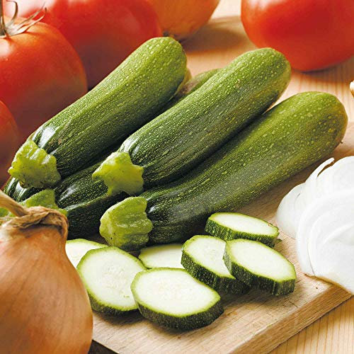 Suttons Courgette Seeds - F1 Defender, Vegetable Seed, Approx. 20 Seeds per Pack, Grow Your own, Ideal for Containers, Beds and Borders, and Greenhouses