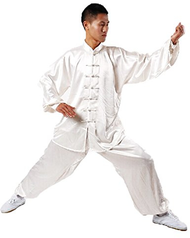 Andux Chine Traditionnels Tai Chi Uniformes Kung Fu Vêtements Unisexe SS-TJF01 (Blanc,L)