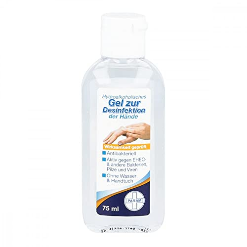 DESINFEKTIONSGEL für die Hand antibakteriell 75 ml