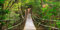 Pro-Art g1664n Wandbild Giclée 'The jungle' 60 x 30 cm