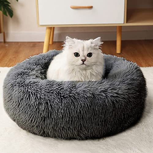 CALIYO Katzenbett Flauschig, Hundebett Kleine Hunde, Katzenkissen Hundekissen Waschbar, Trocknergeeignetes Katzen Bett, Hundebetten Rund Katzenkörbchen Durchmesser 50 cm(Dunkelgrau)