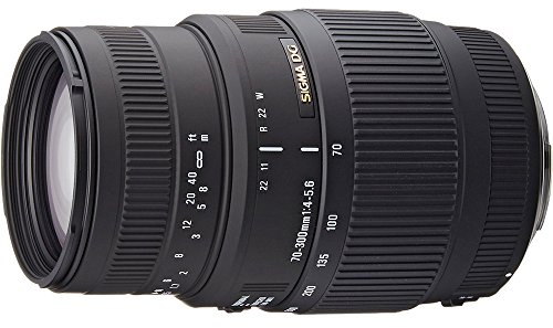 Sigma 70-300mm F4,0-5,6 DG Makro (Motor) Objektiv (58mm Filtergewinde) für Nikon
