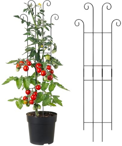 Trepadora de Interior para Plantas Trepadoras | Estructura Metálica de Crecimiento Vertical para Plantas,Guías para Macetas y Flores,para de Interior y Exterior como Monstera, Hiedra y Clemáti