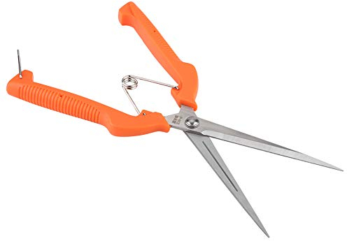 Tijera de flores para plantas, acero inoxidable, jardín, floristería, tijeras de podar, tijeras para jardinería, herramienta de injerto, flores, plantas, rama, bonsai, tijeras