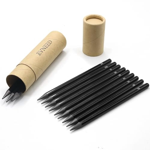 Evneed Matite Senza Legno, in Grafite e Carbone Senza Legno, 12 Pezzi, per Disegnare, Fare Schizzi, Scrivere, Ombreggiare, Nere, Set da 12