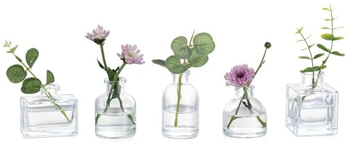 Glasseam Small Bud Vases for Flowers: 5pcs Glass Vases Set Lovely Clear Vase for Home Living Room Dining Tables Wedding Party Table Centrepiece Decorations
