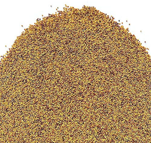 Il Contadino - Antiche Sementi | TRÉFOGLIO BLANCO NANISSIMO con RHIZO | Alfombra con hojas muy pequeñas, Bajo mantenimiento, Cortes poco frecuentes, Bastante resistente a la sombra (10 Kg)