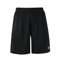 FZ Forza Landos Mens Badminton Shorts (Black) XXL