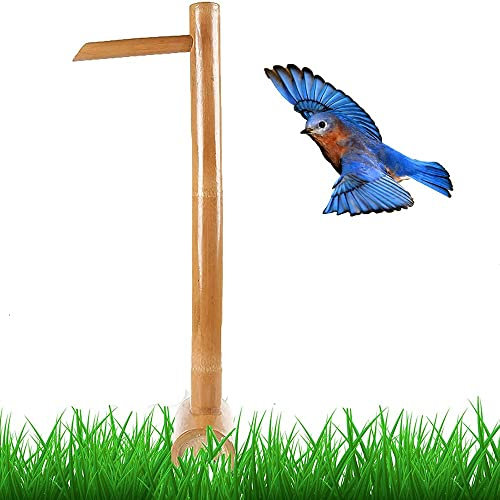 Fontana Della Pompa Dell'acqua Fatta a Mano da Giardino Zen per Giochi D'acqua, Fontanella In Bambù Zen, Fontana Zen da Esterno in bambù，Fontana d'Acqua Decorativa 50cm